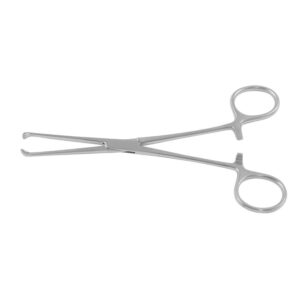 boys-allis-tissue-holding-forceps-medical-ss-surgical-instrument