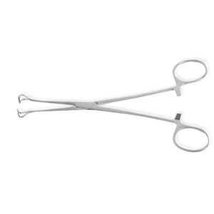 petit-babcock-tissue-forceps-stainless-steel-surgical-instrument-3