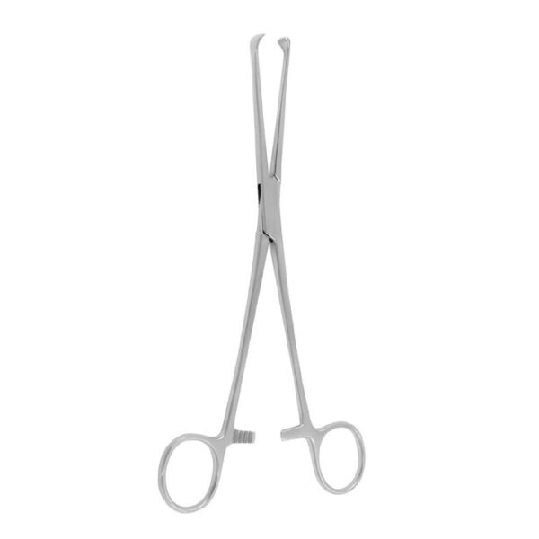 thoms-tissue-forceps-stainless-steel-surgical-instrument-3