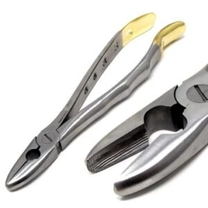 extracting-forceps-instruments-dental-surgical-instruments