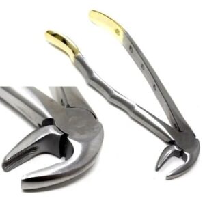 gold-handle-extracting-forceps-dental-surgical-instrument
